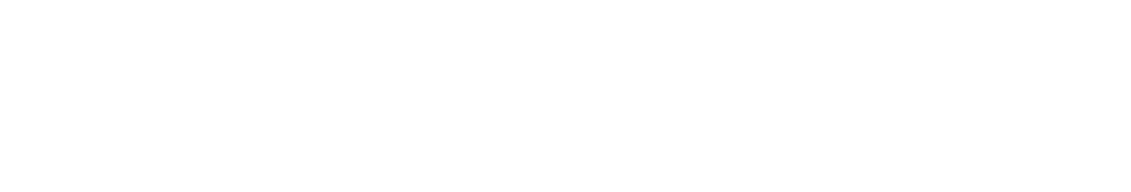 Galija trans logo